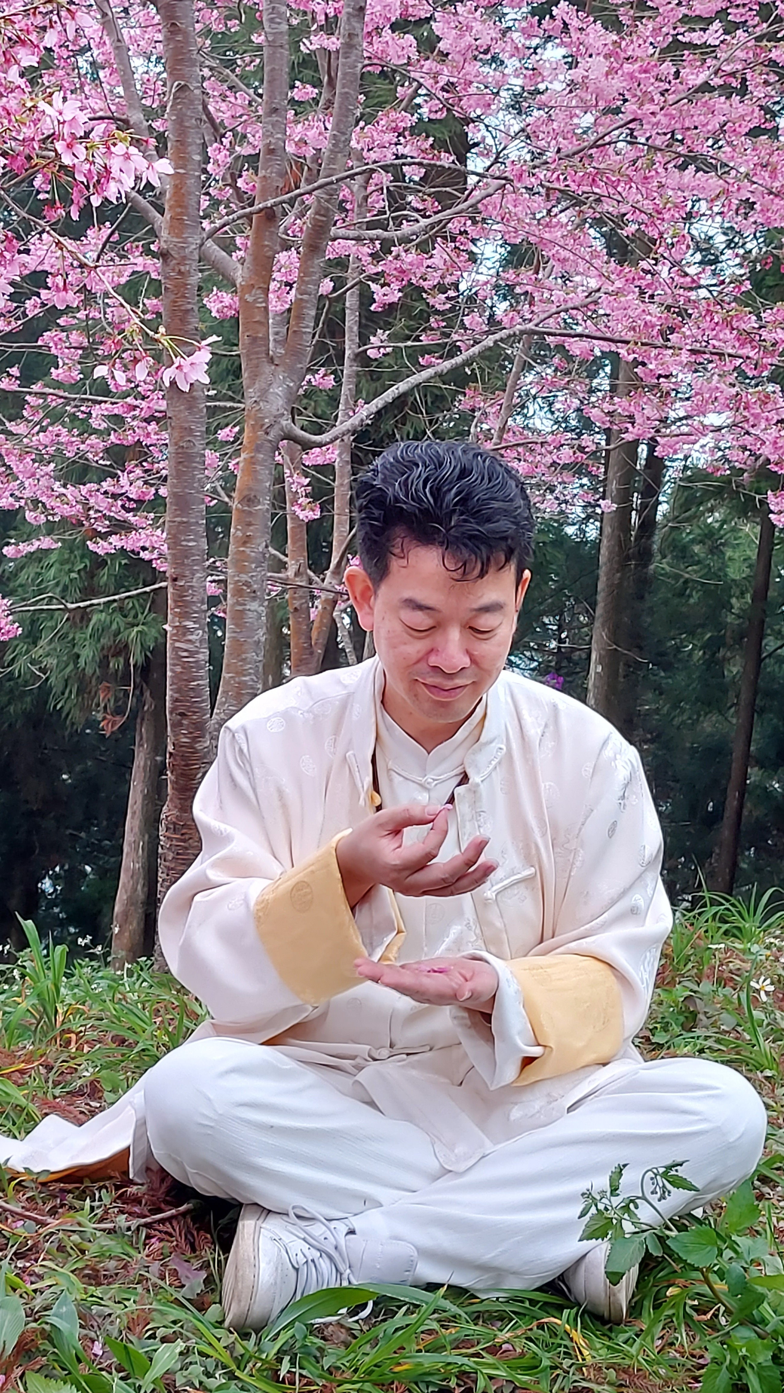 簡瑋慶老師於櫻花林間靜坐合十的照片
